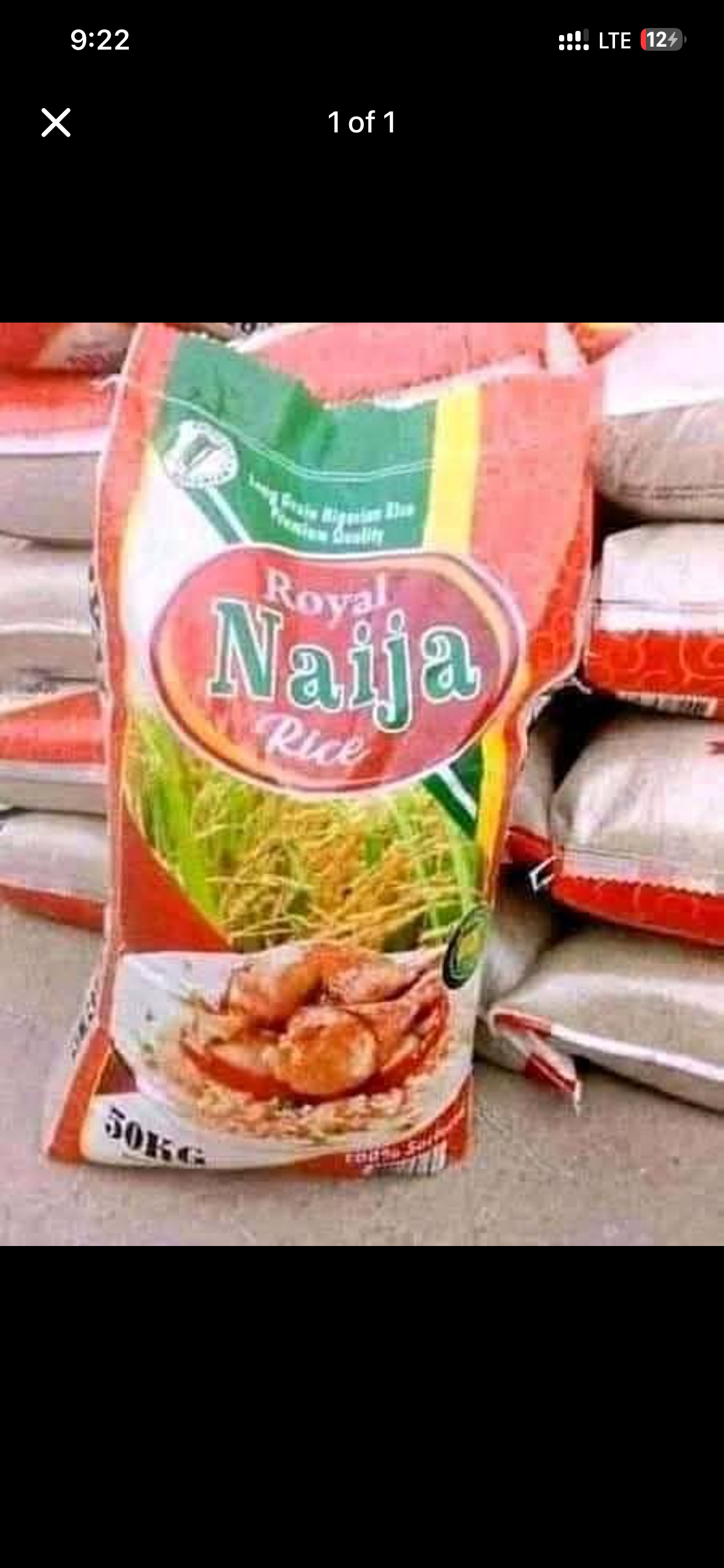 Rice